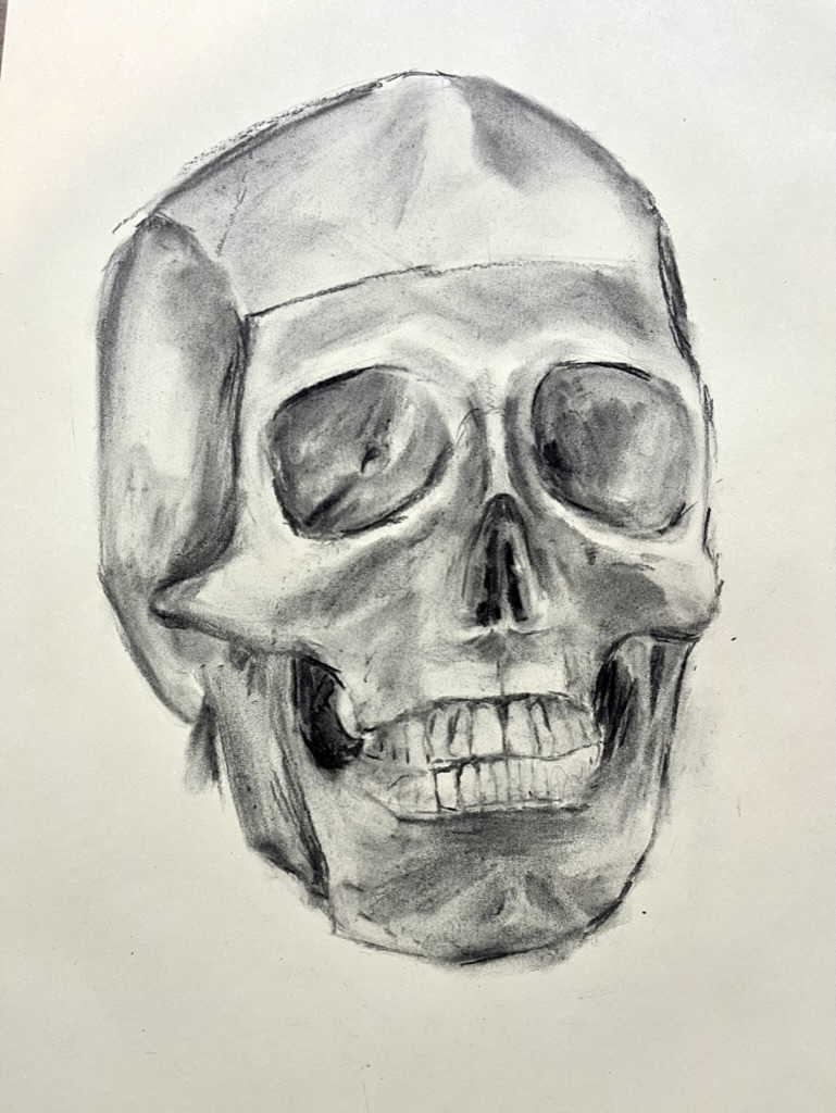 lebka, studie - figurální kresba, uhel