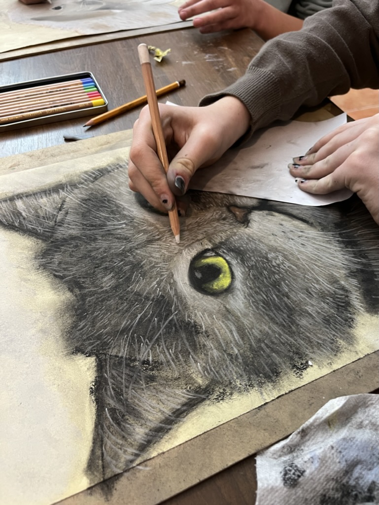 mačka - kresba pastel