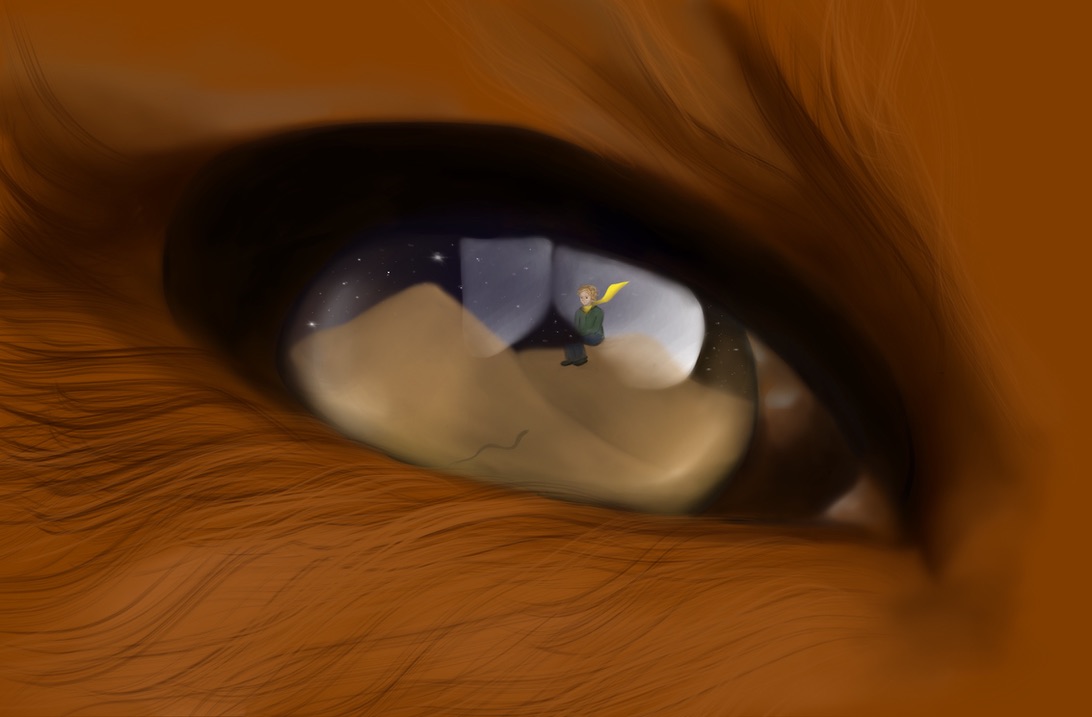 malý princ - digitální ilustrace