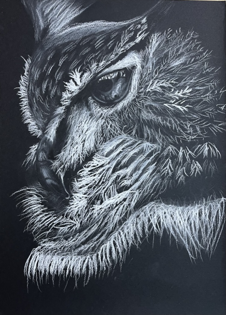 sova - kresba bílou tužkou na černý papír